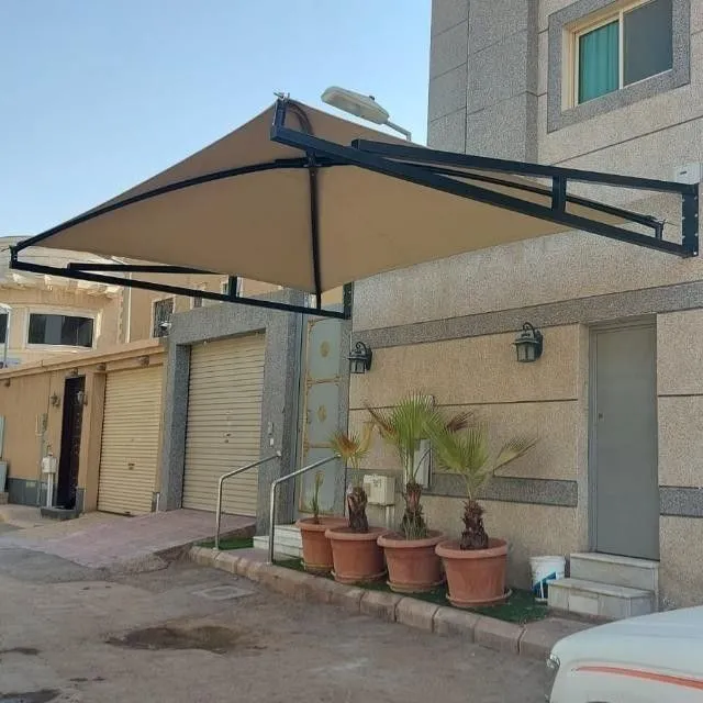 صورة المقال